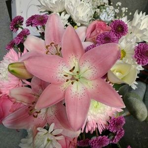 Meet your Posher, Keira